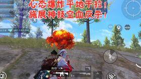 老瓜头吃鸡,一场别开生面的农家乐盛宴