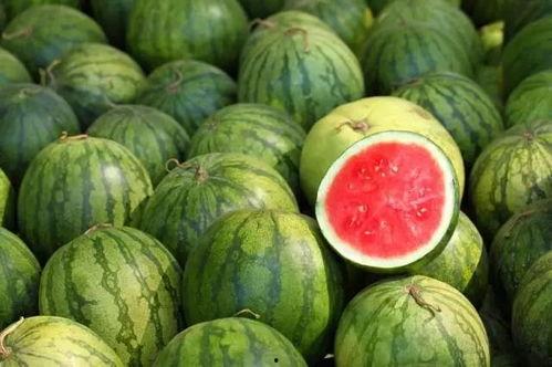 勺子厚实吃瓜,尽享瓜果盛宴