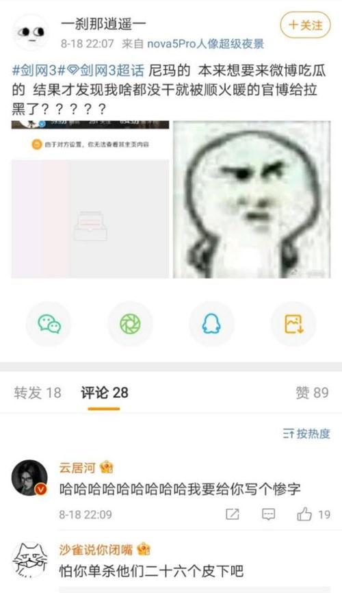 吵架吃瓜段子,一场别开生面的网络段子盛宴