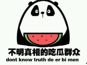 秋日吃瓜小说,一场穿越时空的甜蜜邂逅