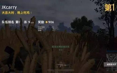 吃鸡网红吃瓜,揭秘吃鸡界的“瓜田”风云