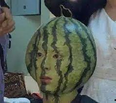 北美吃瓜 vince,揭秘Vince背后的故事与影响力